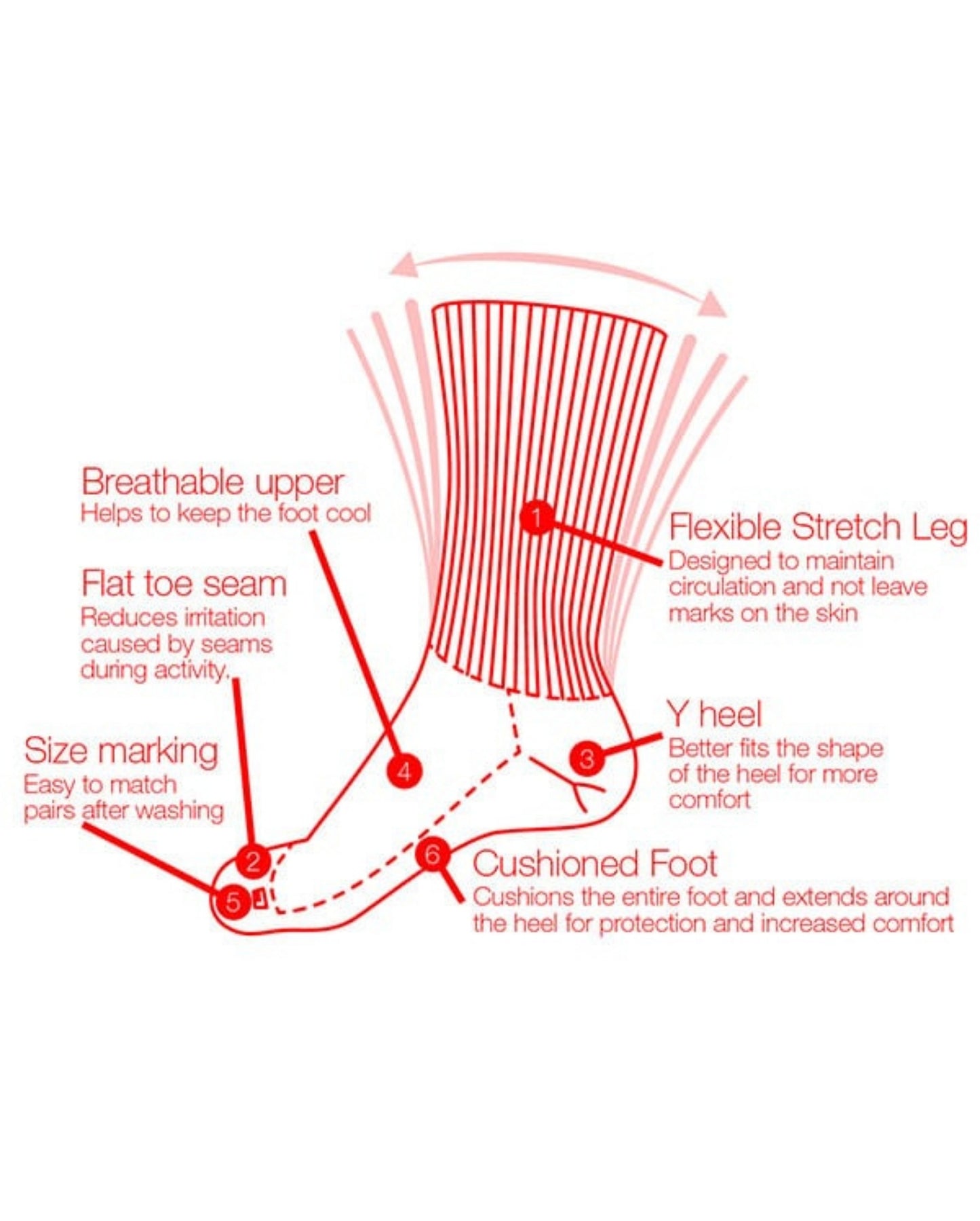 Ergonx Diabetic Socks Crew (6 Pack)