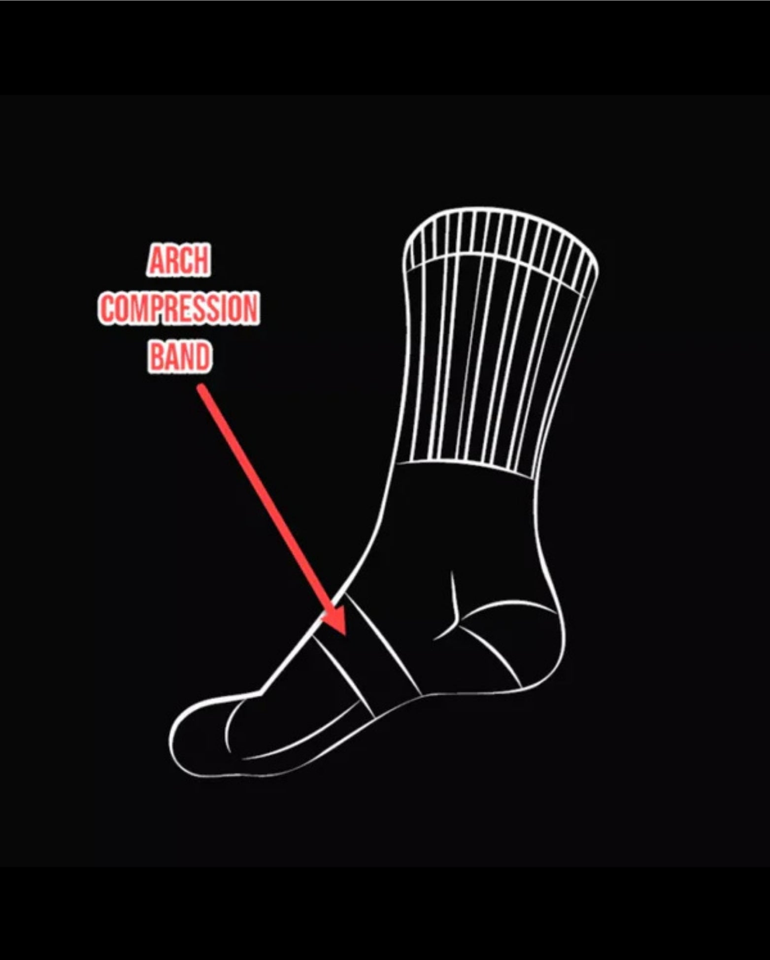 Ergonx Work Socks (6 Pack)